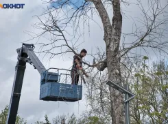 В Краснодарском крае 22 апреля пройдет Всероссийский субботник