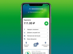 ПАО ГК «ТНС энерго» выпустило приложение для iOS
