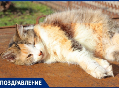  «Блокнот Краснодара» поздравляет жителей Кубани с окончанием зимы 