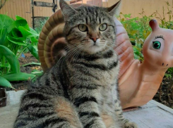 Температура воздуха в Краснодарском крае продолжит падать 