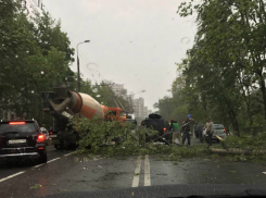 Из-за ураганного ветра на Кубани рухнули деревья на грузовик