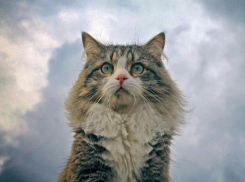 На Кубани немного потеплеет, местами пройдут кратковременные дожди