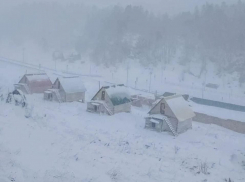 «Только начал зеленеть лес»: на Краснодарский край и Адыгею обрушилась вторая зима