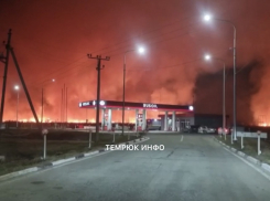В Краснодарском крае из-за пожара в плавнях едва не загорелась заправка 