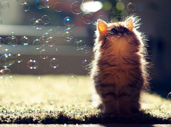 Погода в Краснодаре резко испортится