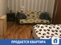 Продается «однушка» с ремонтом