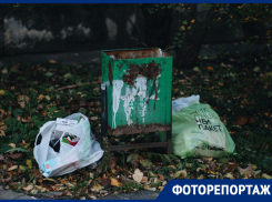 Краснодар утопает в мусоре: фоторепортаж о нелюбви к городу