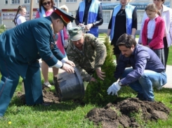 Коммунисты высадили новую хвойную аллею в кубанской станице