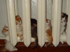 В Новороссийске несколько районов остались без тепла