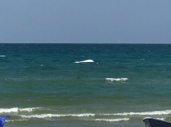 Капитан перевернувшегося в Анапе катера с туристами был пьян