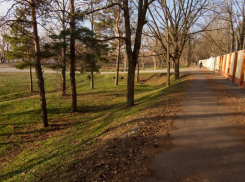  Мэр Краснодара пообещал осветить «Тропу здоровья» 