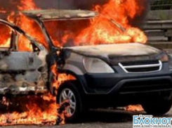 Горячий Ключ: за украденного гуся сожгли машину