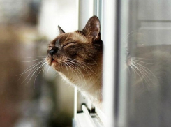 На Кубань с приходом антициклона вернется теплая погода 