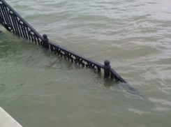 В Краснодаре поднялся уровень воды в реке Кубань