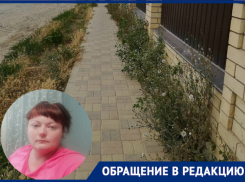 Заброшенный участок около коттеджного поселка мешает гулять маме с ребенком-инвалидом