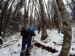 Спасатели восьмой день не могут найти следов пропавшего сноубордиста