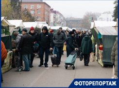 От микрозелени до бройлеров: чем поживиться на ярмарке выходного дня перед Новым годом