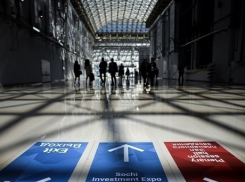 Стали известны подробности сделок Кубани на инвестфоруме
