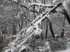 МЧС: в горах Сочи ожидается налипание снега на проводах и деревьях