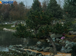 Легкий мороз и ясное солнце встретятся в Краснодаре 