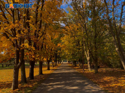 Новая рабочая неделя в Краснодаре начнется с 17 градусов тепла