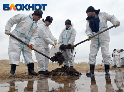 Волонтеров не хотят допускать к уборке заповедника «Утриш» в Краснодарском крае
