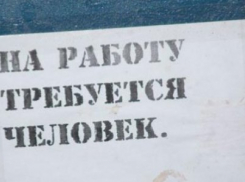  Продажников, банкиров и строителей искали на Кубани в 2017 году 