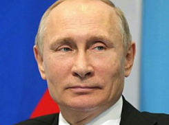 Плантации чая на Кубани Путин рекомендовал отнести к особо ценным
