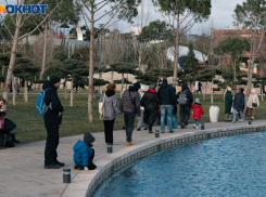 Погода раскачает Краснодар до +16: неожиданный прогноз дали синоптики