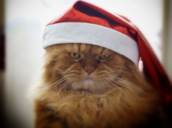  Погода на Кубани дождем проводит последний день года 