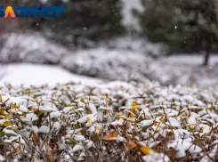 Краснодарцев экстренно предупредили о снегопаде и гололёде