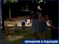 Скандал в Ботаническом саду: компания с собаками напала на краснодарца после замечания