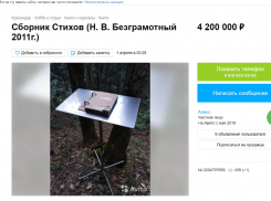 Сборник стихов за 4 миллиона: в Краснодаре продают книги по цене квартир