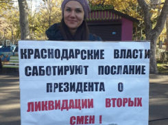 Активисты провели в Краснодаре пикет по проблемам образования и здравоохранения