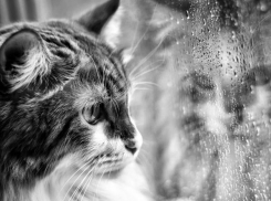 Выходные испорчены: погода «зарядила дожди» на Кубани