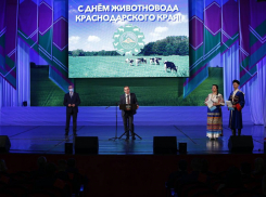 19 февраля в Краснодаре отмечается День животновода 