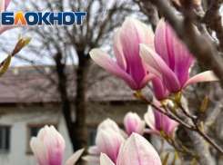 Важное в Краснодаре 1 апреля: поздравляем дураков, веселимся на работе, не пачкаемся