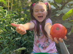 Главный секрет щедрого урожая – правильный выбор семян