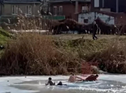 В Краснодаре наградили спасителей провалившихся под лёд школьников