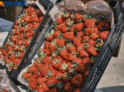 В Краснодарском крае мощный град поставил под угрозу урожай клубники