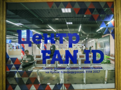 Паспорт болельщика позволит бесплатно кататься по Сочи