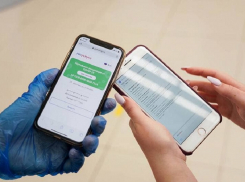 Владельцы краснодарского общепита выплатили 1,7 млн за нарушение антиковидных ограничений