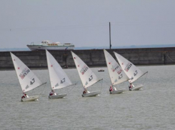 Президент Федерации парусного спорта о переносе базы «Парус»: «Наше мнение никто не спрашивает»