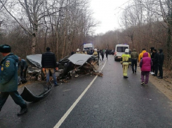 На Кубани в разорванной в результате ДТП пополам машине погибли два человека