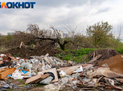 Власти Краснодара потратят 4 миллиона на борьбу со свалками