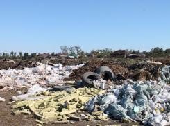 Незаконную свалку на территории 5 га обнаружили в Краснодаре