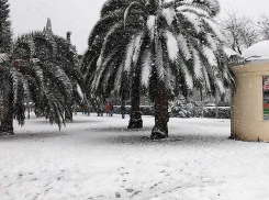  Синоптики пообещали, что Сочи завалит снегом 