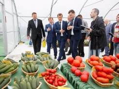 В выставке «Золотая Нива» ожидают участников из более 300 компаний