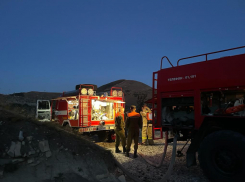 В Новороссийске потушили крупный лесной пожар