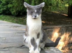 В Краснодаре спрогнозировали потепление до +20 градусов